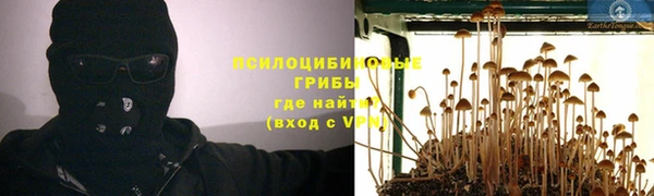 гашик Балабаново