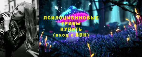 гашик Балабаново