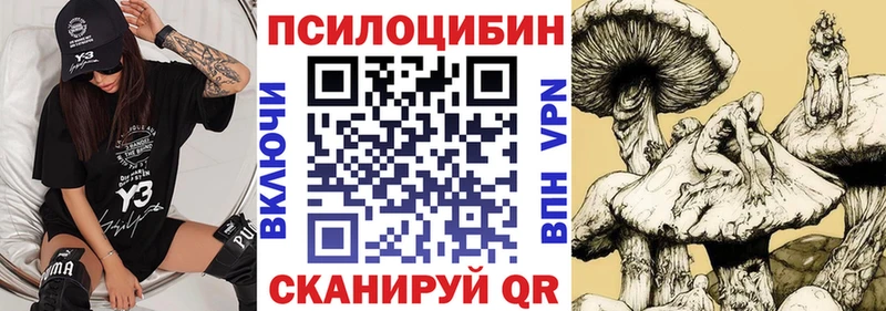 Галлюциногенные грибы Psilocybe Сергач