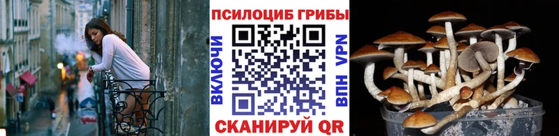 Галлюциногенные грибы ЛСД  Сергач 